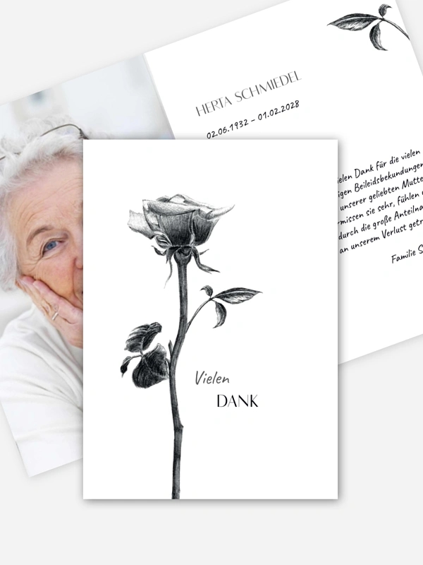 Zarte Rose