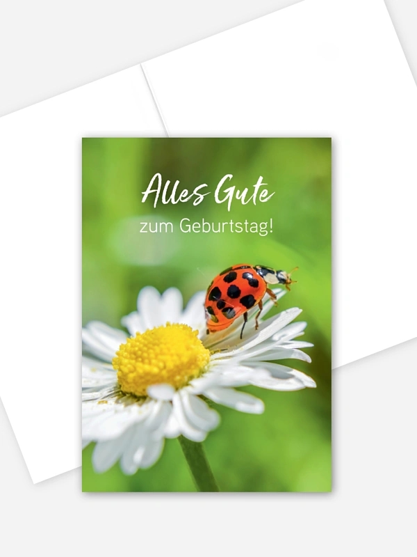 Wünsch Dir Was