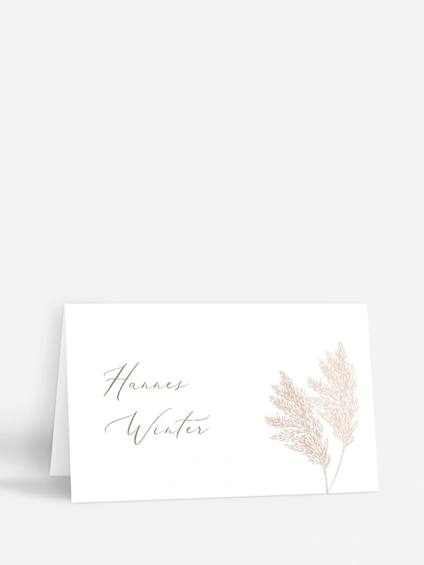 Blush Pampas