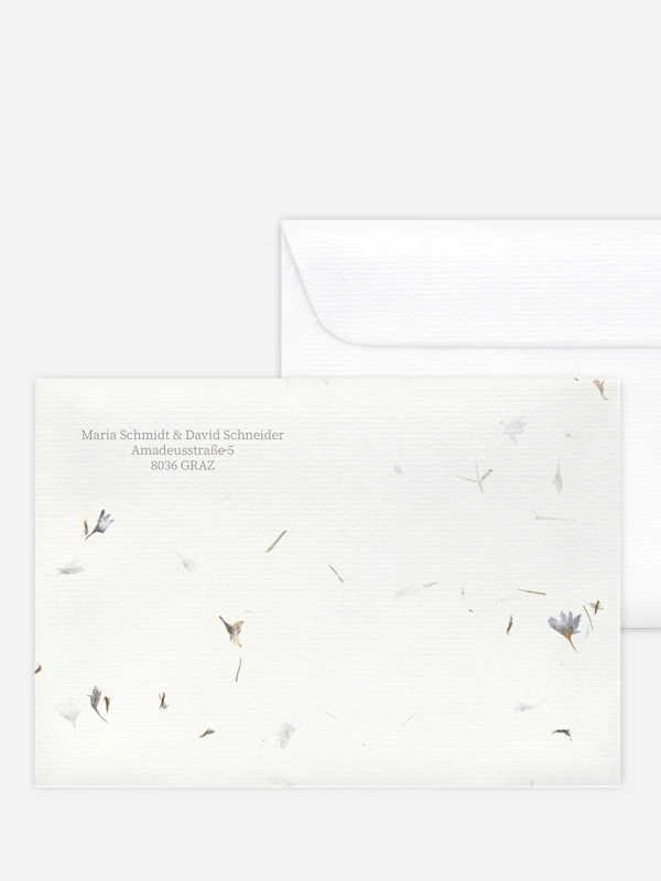 Dried Petals