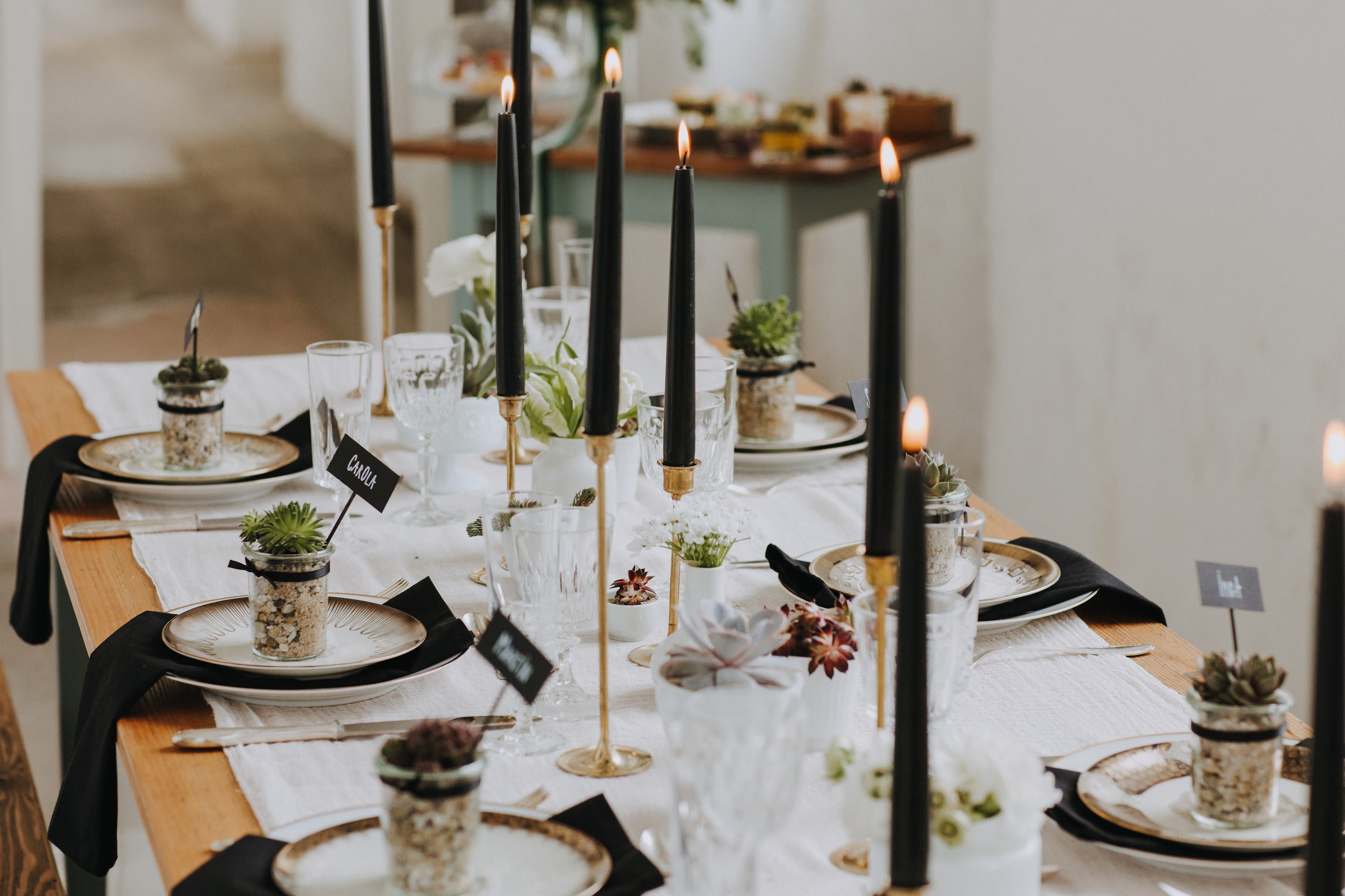 Festtafel einer Hochzeit mit kleinen Kakteen als Deko.