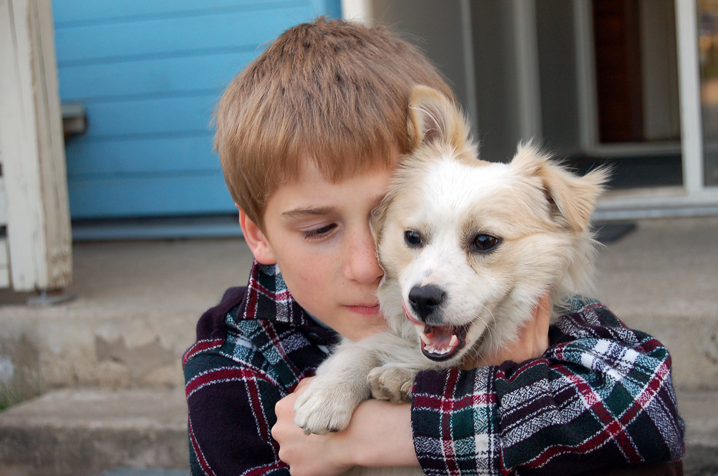 Junge mit süßem Hund