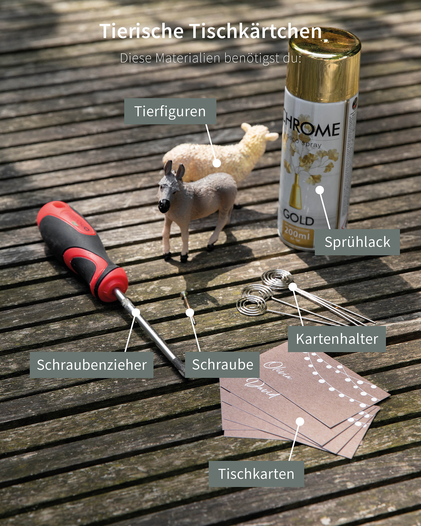 Materialien, die für die selbst gemachten Tier Kartenhalter benötigt werden.  