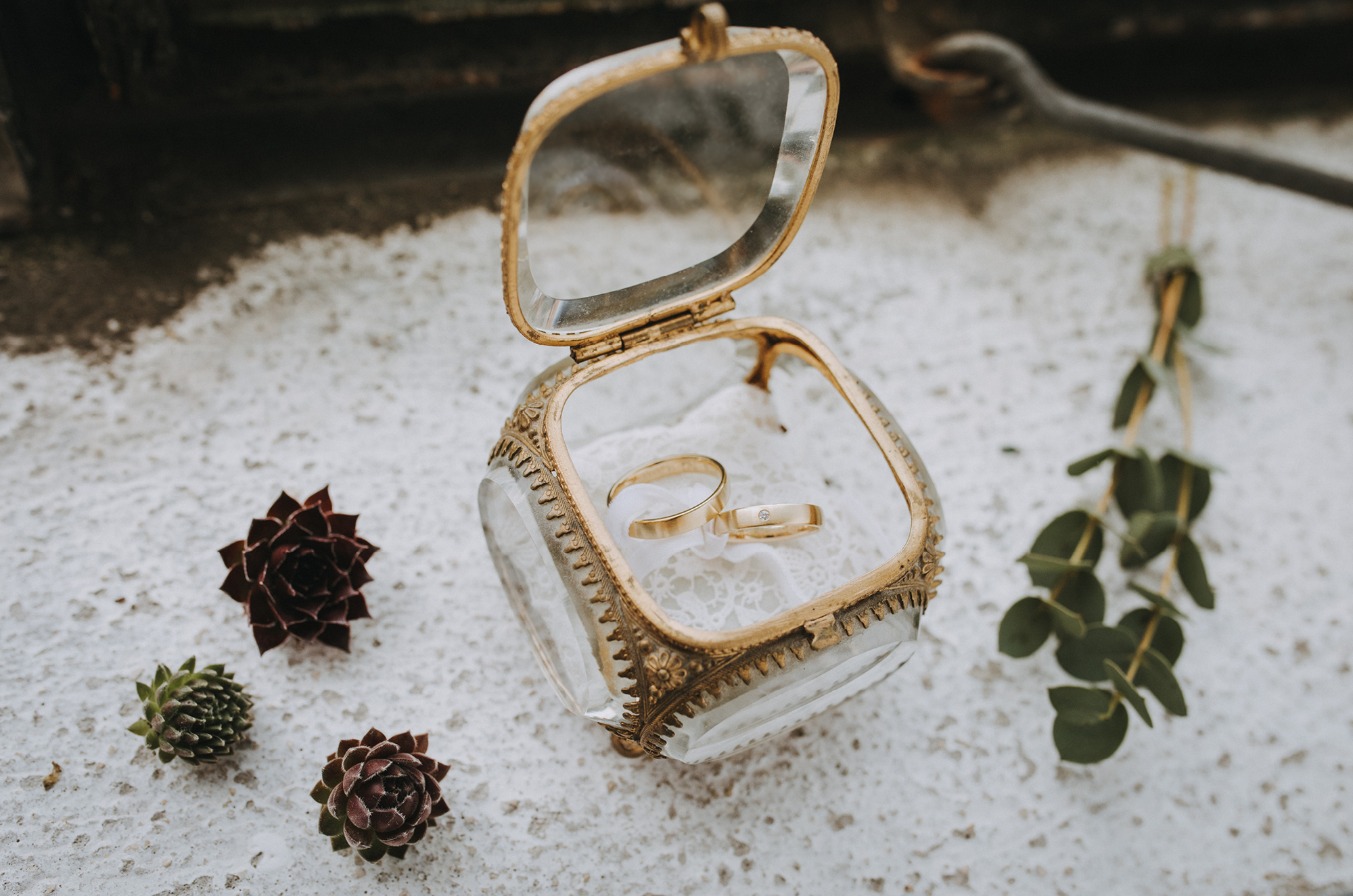 Eheringe in goldener Glasschatulle für minimalistische Hochzeit