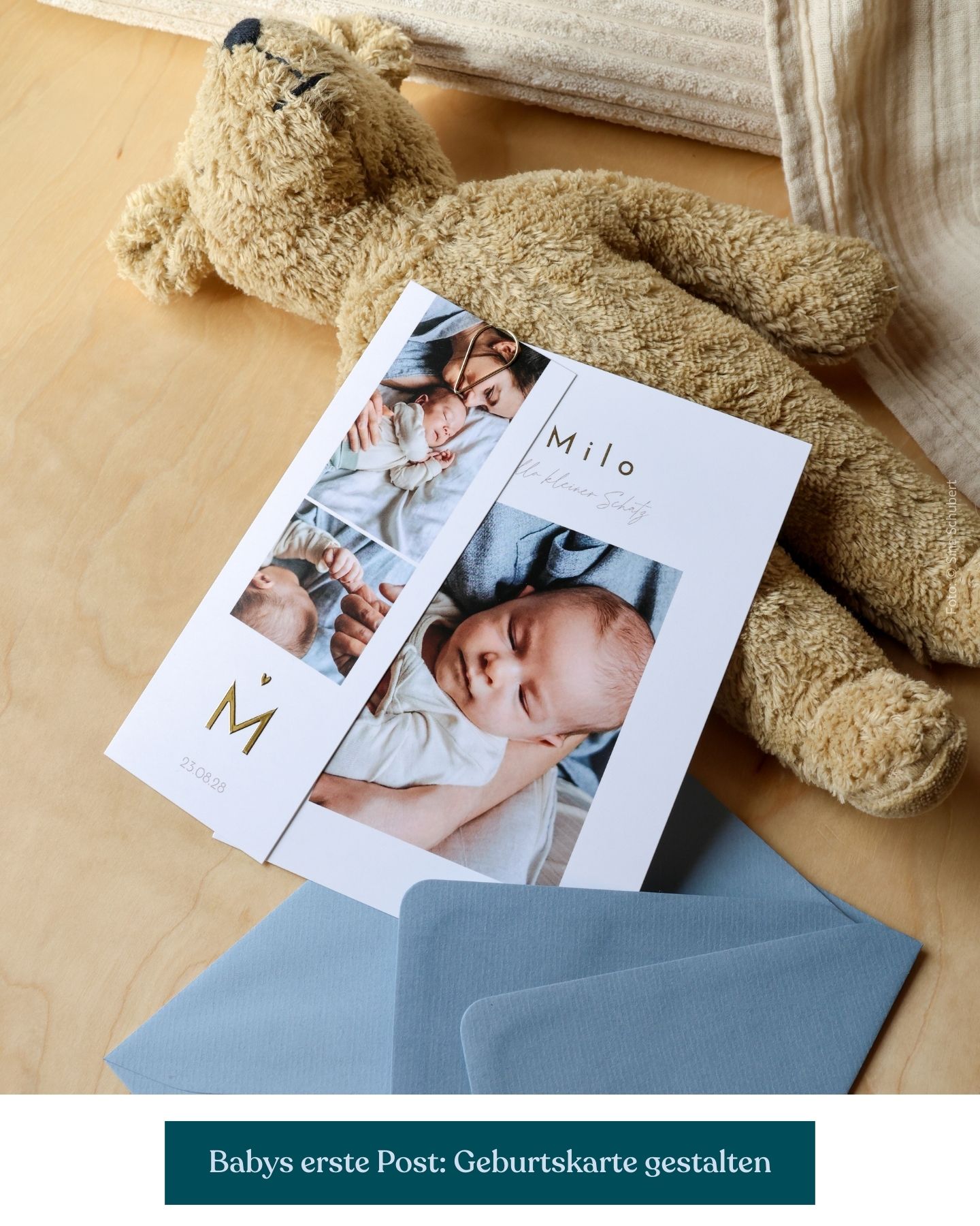 Geburtskarte mit Wldtier-Illustration und passendem Umschlag