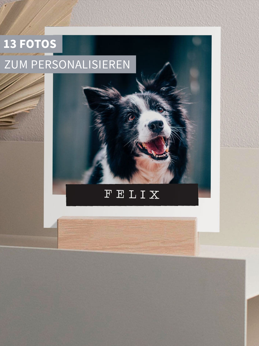 Fotohalter Big Times