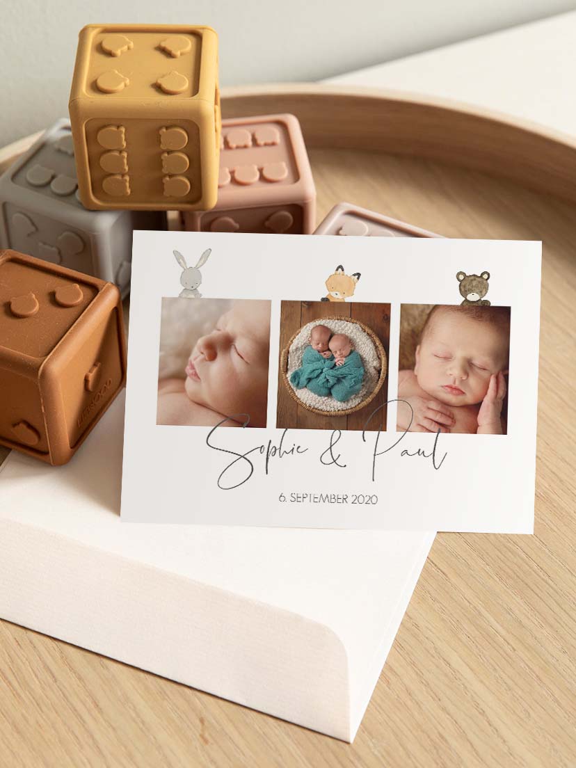 Zwillingskarte Tierchen Trio